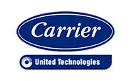 Carrier